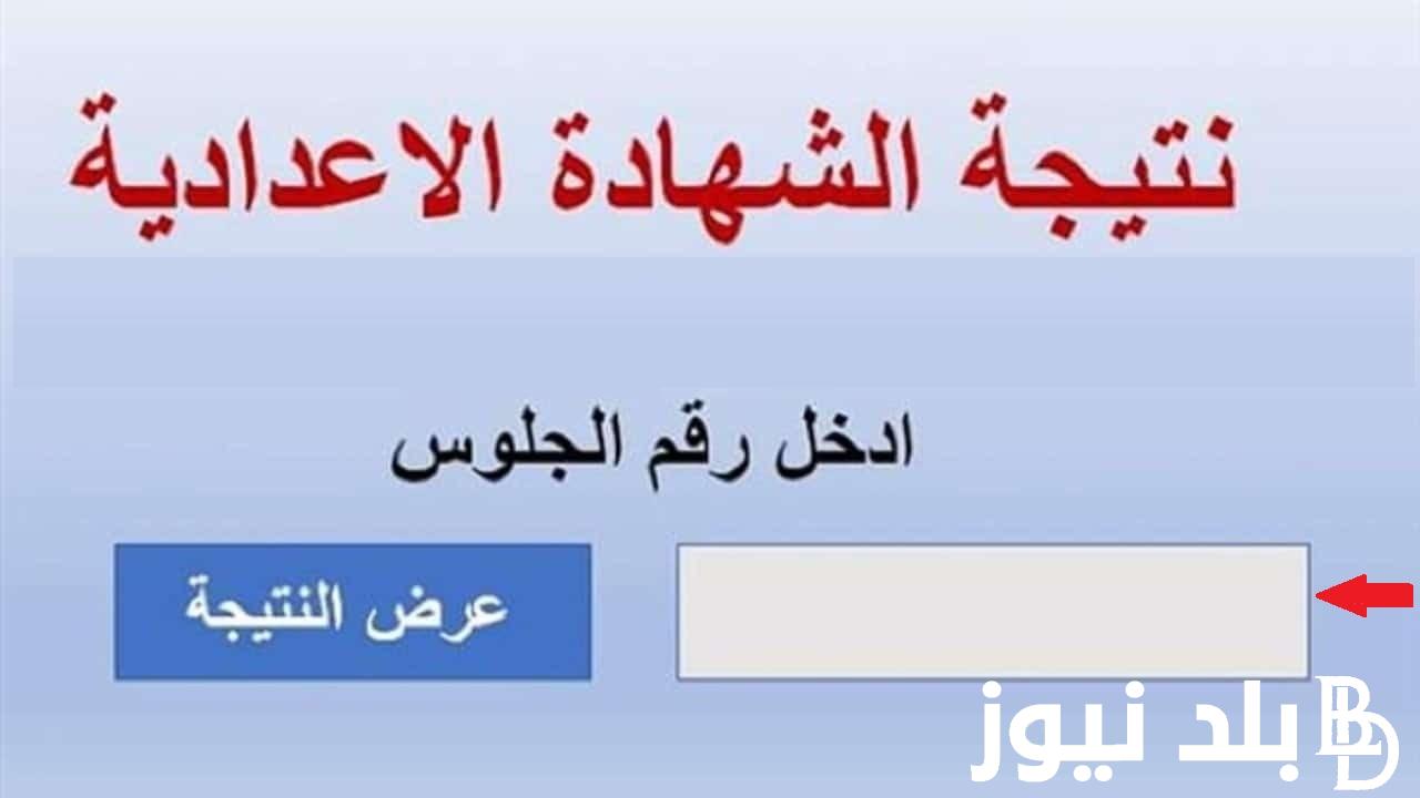 “اعرف درجاتك” رابط نتيجة الصف الثالث التجاري برقم الجلوس 2024 من خلال موقع بوابة التعليم الفني fany.emis.gov.eg