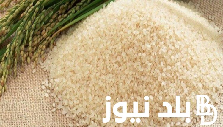 “الأبيض بكام النهاردة” أسعار الارز الشعير اليوم في مصر السبت 13 يوليو 2024 فى الإسواق المصرية