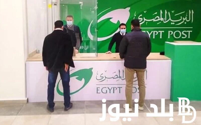 هُنا بوابة “jobs.caoa.gov.eg” راابط نتيجة البريد المصري 2024 بالرقم القومي الاستعلام عبر موقع الوظائف الحكومية الجهاز االمركزي للتنظيم والإدارة