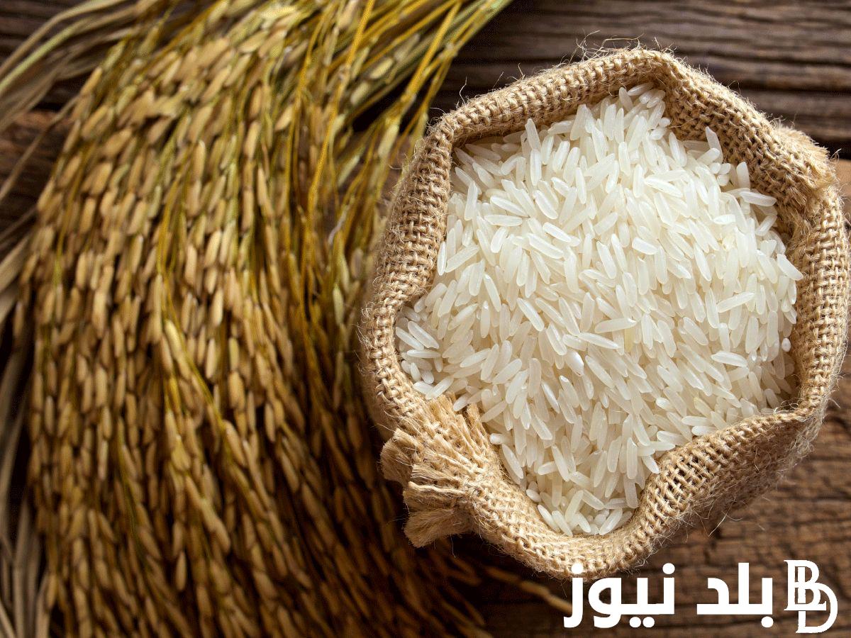 طن الارز بكام؟.. سعر طن الارز الشعير اليوم الخميس بتاريخ 1 أغسطس 2024 للمستهلكين والتجار بالأسواق المحلية