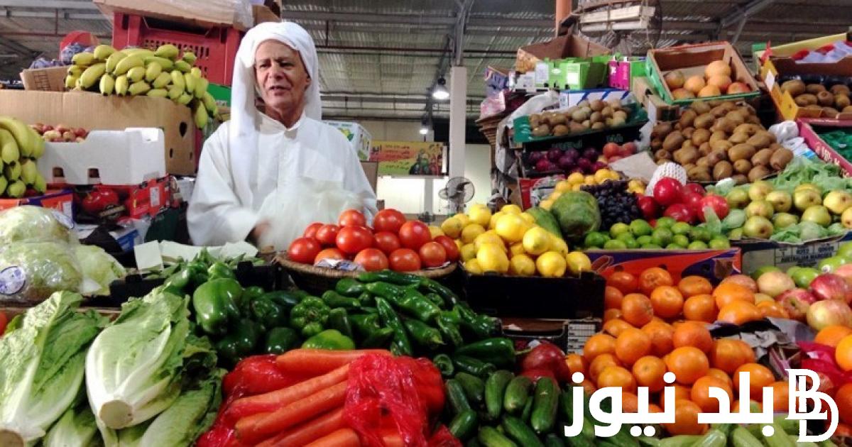 ” التفاح ب 90″ اسعار الخضار اليوم في مصر الاحد الموافق 18 اغسطس 2024 فى المحلات التجارية والاسواق المصرية