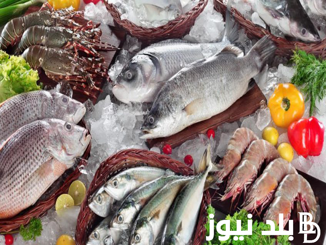 “كل الأنواع” أسعار السمك بسوق العبور اليوم الأربعاء الموافق 14 اغسطس 2024 للمستهلك