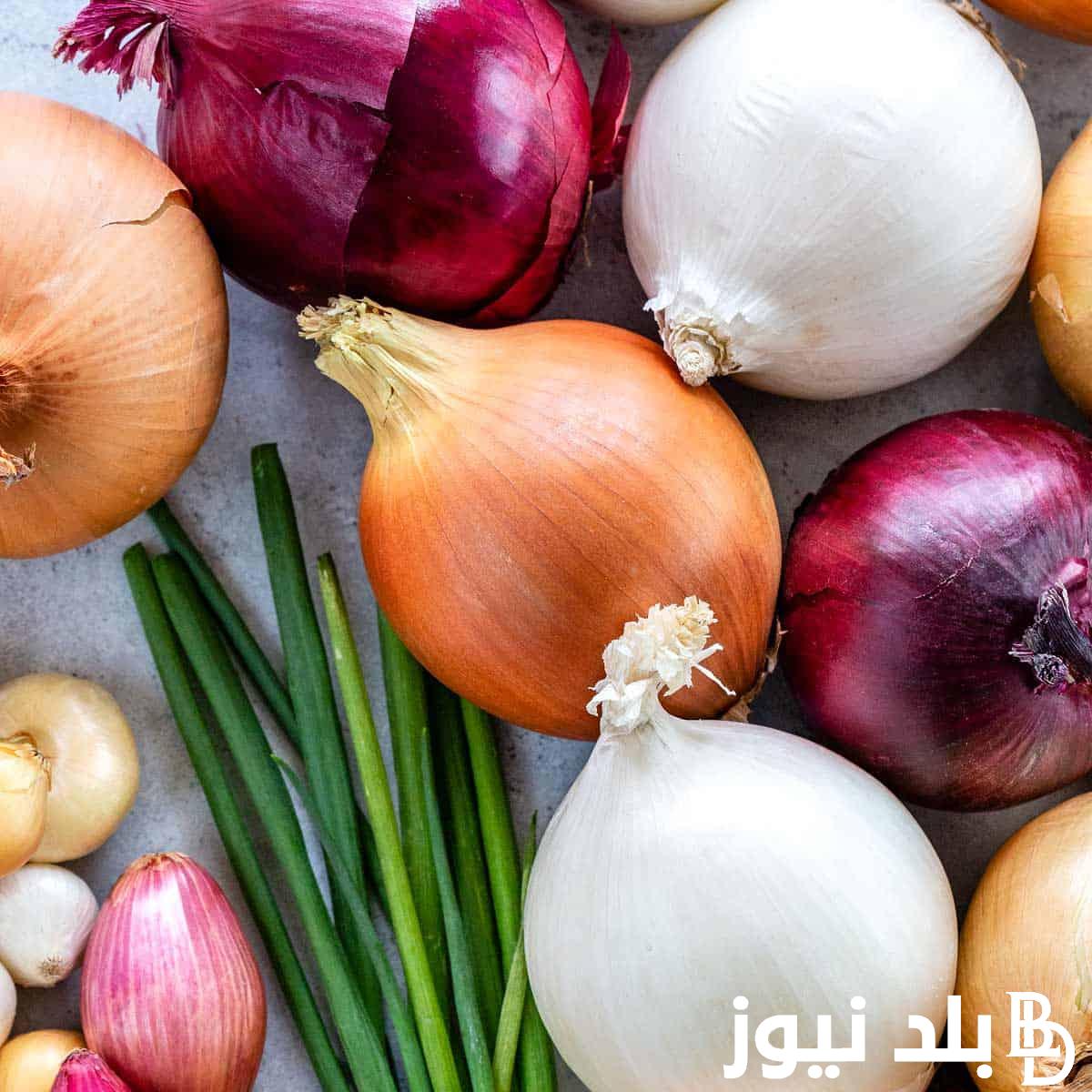 “جديد وقديم” سعر البصل اليوم الخميس 1 أغسطس 2024 في سوق العبور