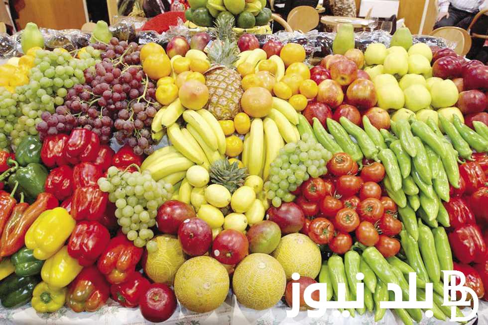 المانجو ب20.. أسعار الفاكهة في سوق العبور اليوم الأحد الموافق 25 أغسطس 2024 للمستهلك في مصر