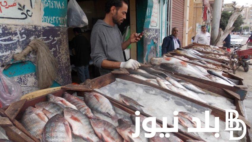 انخفاض أسعار السمك اليوم السبت الموافق 10 أغسطس 2024 في سوق العبور
