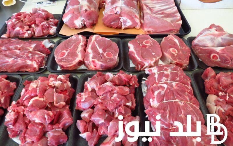 ” الضاني على كام؟” أسعار اللحوم في منافذ وزارة الزراعة اليوم الأربعاء 7/8/2024 للتاجر و للمستهلك