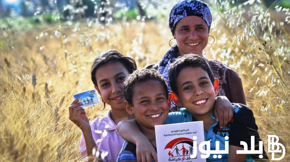 وزارة التضامن توضح.. رابط استعلام تكافل وكرامه بالرقم القومي 2024 والشروط والاوراق المطلوبة