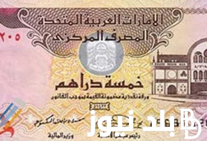 الاماراتي.. سعر الدرهم الاماراتي اليوم في البنوك مقابل الجنيه المصري