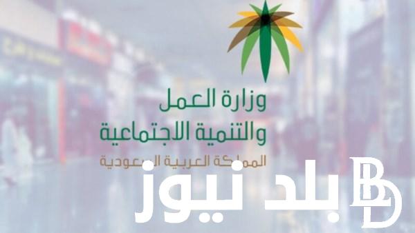 هل تم الغاء نظام الكفيل في المملكة السعودية 2024.. الموارد البشرية تحسم الجدل