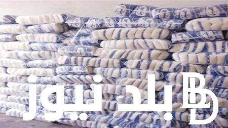 عاجل.. وقف صرف السكر الحر على البطاقة التموينية بداية من سبتمبر المقبل وهل سوف يتأثر الحصة التموينية للفرد بالتموين