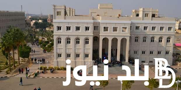 مؤشرات تنسيق معهد حاسبات ومعلومات 2024 للشعبة العلمية والأدبية.. هتختار ايه