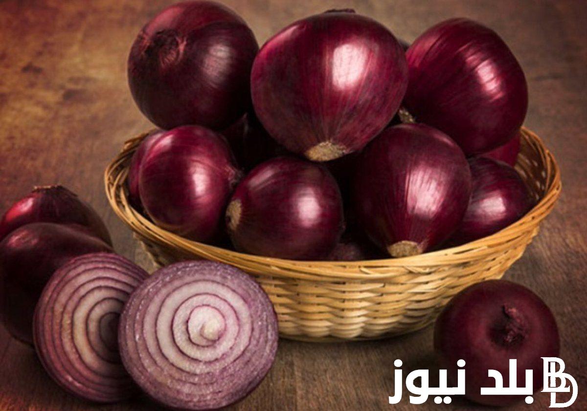 بكام كيلو البصل الاحمر ؟.. سعر البصل اليوم الجديد 11 اغسطس 2024 للمستهلك في مصر