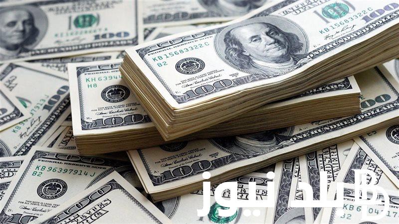 “استقرار سعره في البنوك المصرية” سعر الدولار اليوم مقابل الجنيه المصري الأحد 28/8/2024