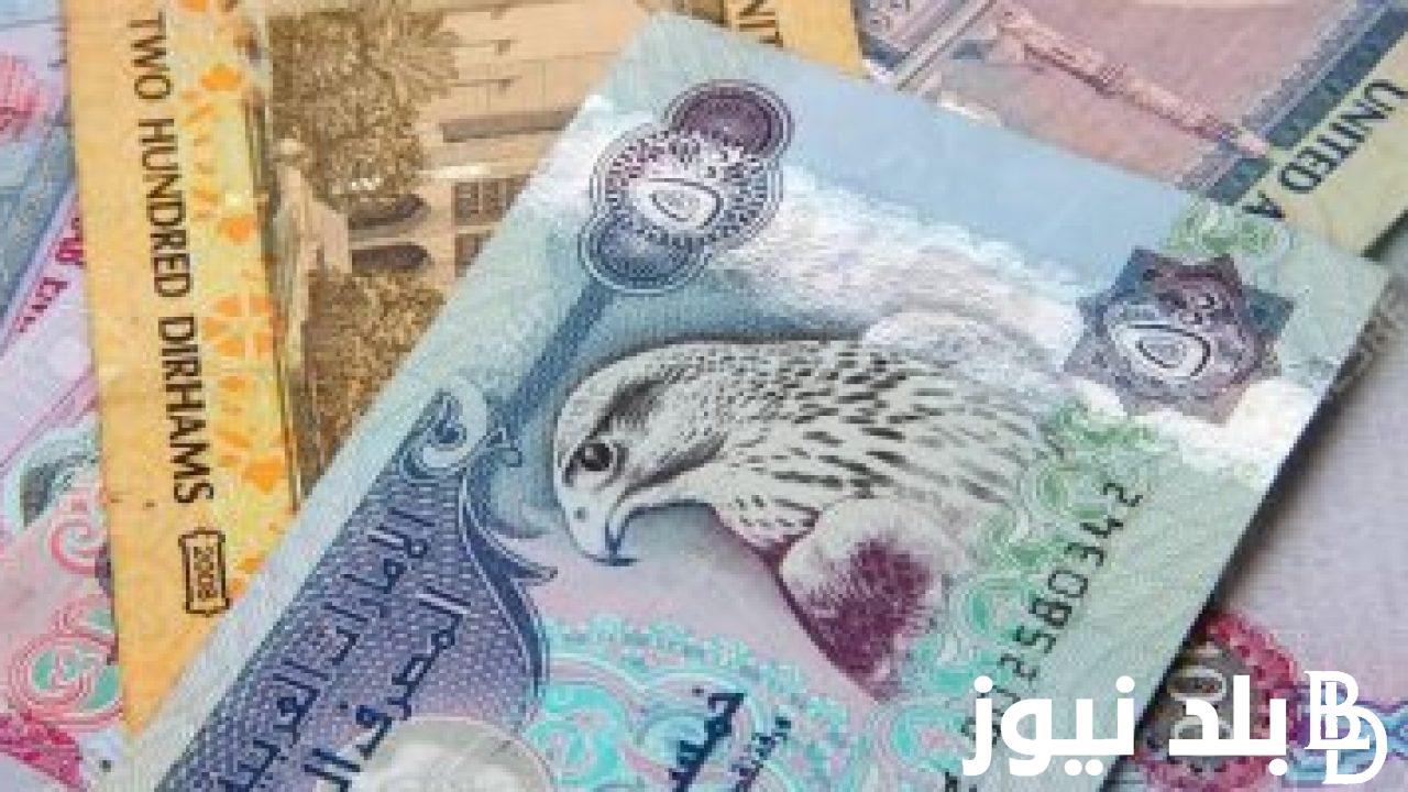 تحديث لحظي.. 1000 درهم إماراتي كم جنيه مصري اليوم السبت 24 اغسطس 2024 بالسوق السوداء وجميع البنوك