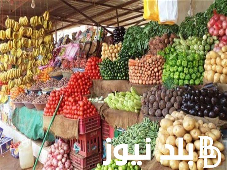 الكيلو على كام؟.. سعر البصل اليوم الأحد 4/8/2024 سعره في السوق المصري وسوق الجمله اماكن بيعه