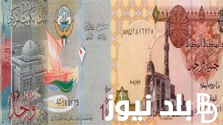 تحديث لحظي.. سعر الدينار الكويتي مقابل الجنيه في البنوك والسوق السوداء اليوم الاثنين 5 اغسطس 2204