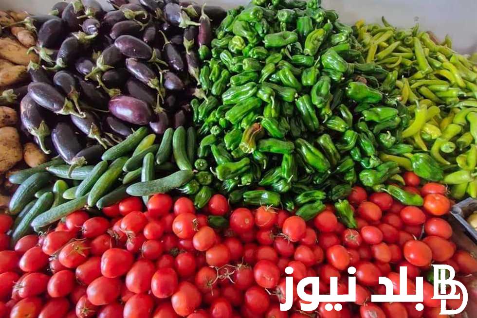 “انزلي اتسوقي يا ست الكل” اسعار الخضار اليوم الثلاثاء 13 اغسطس 2024 في سوق العبور وجميع الاسواق المصرية