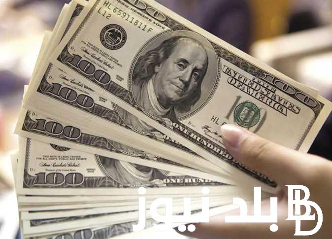 “ارتفاع ملحوظ للأخضر” سعر الدولار اليوم في السوق السوداء السبت 10 أغسطس 2024