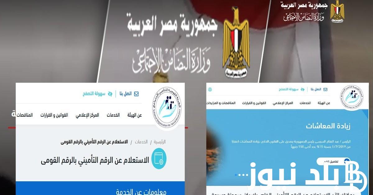 “في انتظار الحكم النهائي”.. آخر أخبار أصحاب المعاشات المستحقين للعلاوات الخمس 2024