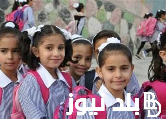 التربية و التعليم ترد علي الاخبار المُنتشرة بشأن تأجيل العام الدراسي الجديد 2024/2025