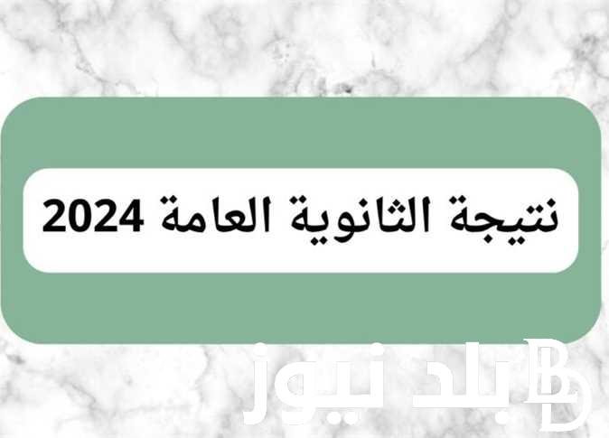 استعلم عن نتيجه الثانويه العامه 2024 نذاكر بالاسم ورقم الجلوس الدور الاول في جميع المحافظات عبر natiga.nezakr.net