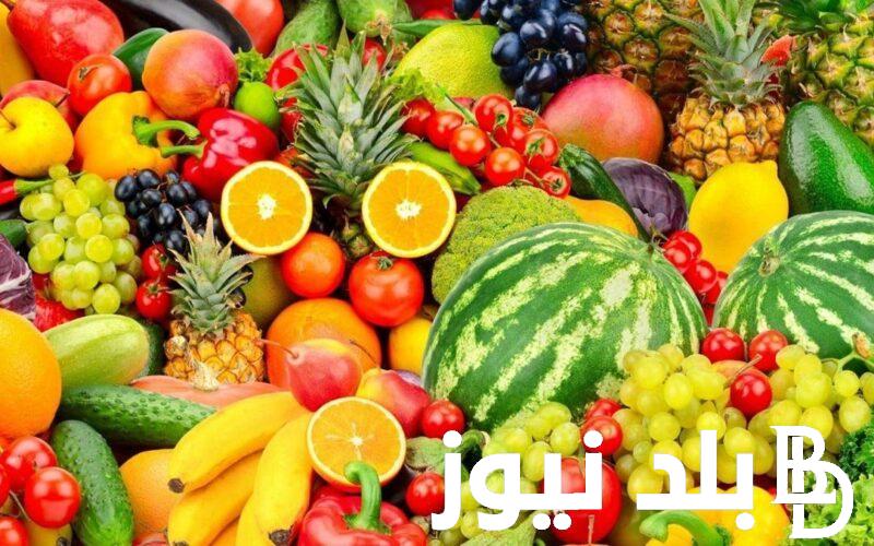 المانجو بكام؟ أسعار الفاكهه اليوم الخميس 22 اغسطس 2024 في سوق العبور والاسواق المحلية