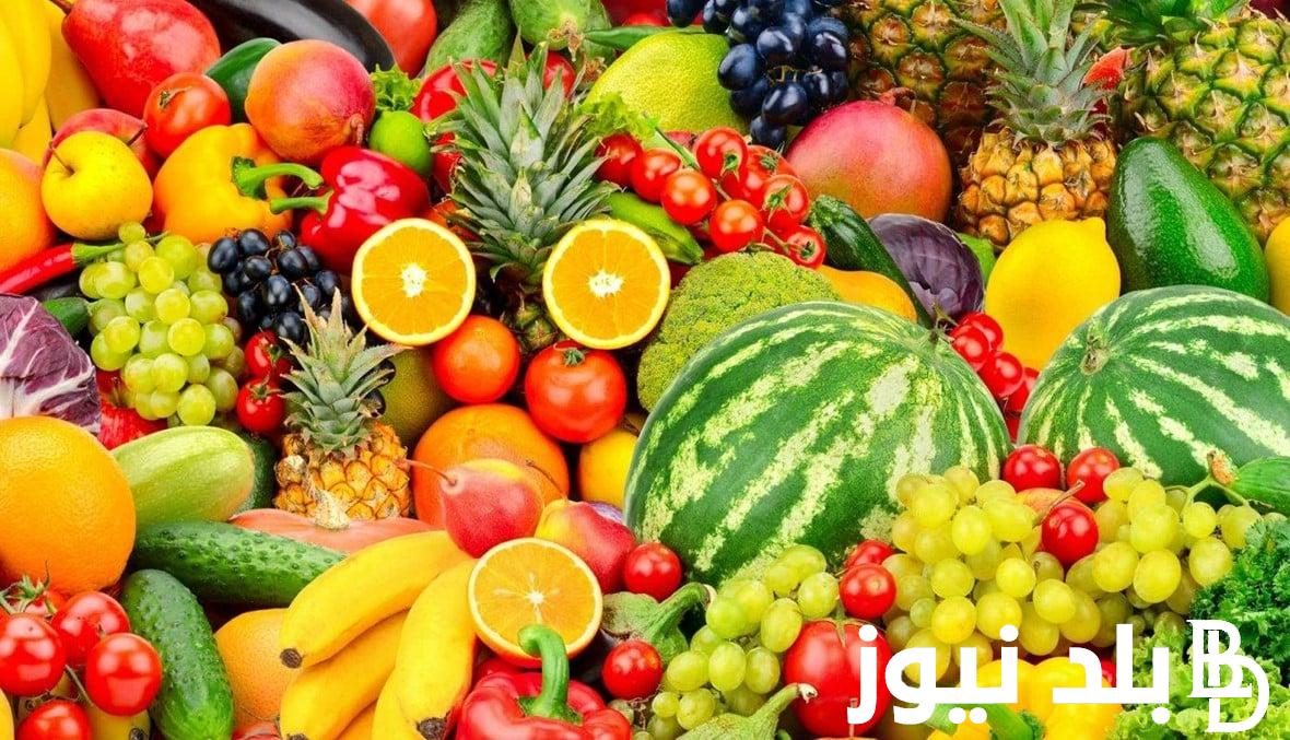 اسعار الفاكهة اليوم الثلاثاء 13 أغسطس 2024 وأسعار الخضراوات في سوق العبور وفي المحلات التجارية للمستهلك