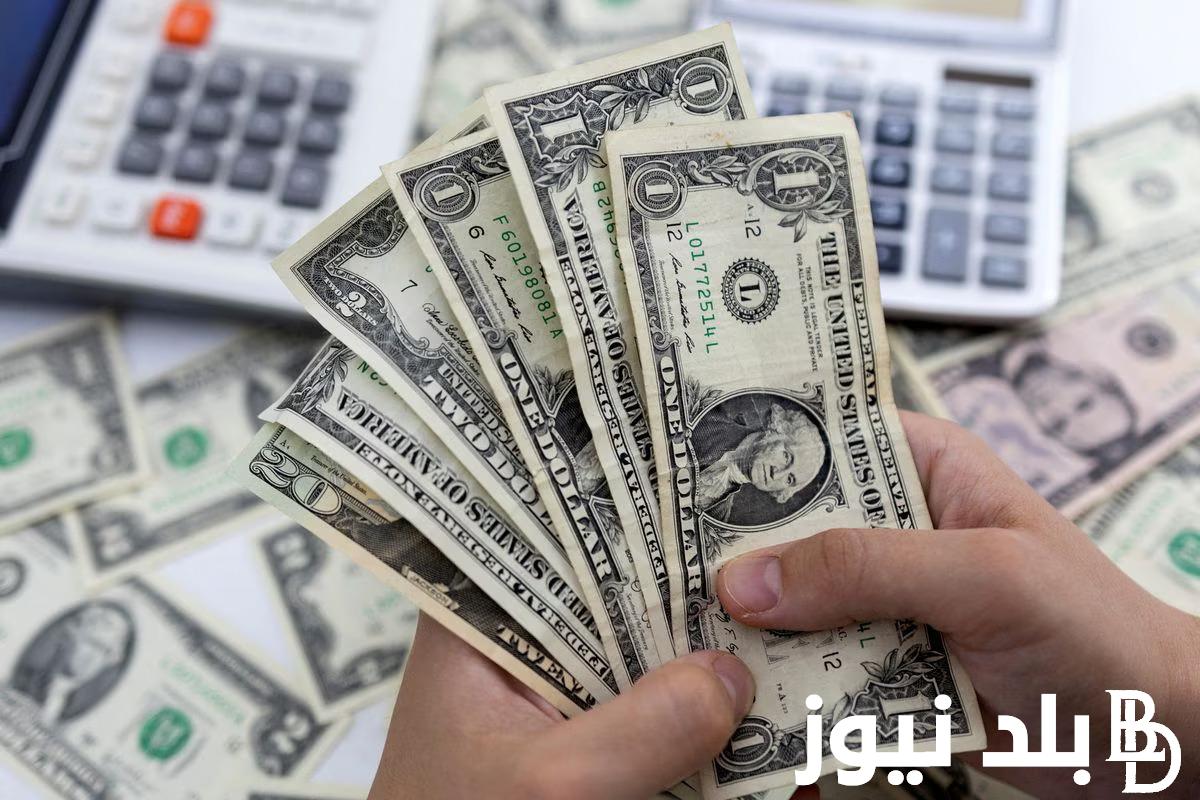 “الورقة الخضراء في مهب الريح” 500 دولار كم جنيه مصري في السوق السوداء اليوم الجمعة 30 أغسطس 2024 وجميع البنوك