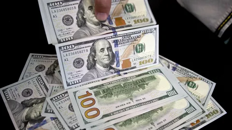 “الدولار يرتفع” 50 دولار كم جنيه مصري في السوق السوداء والبنوك المصرية اليوم الاثنين 5 أغسطس 2024 مقابل الجنيه المصري