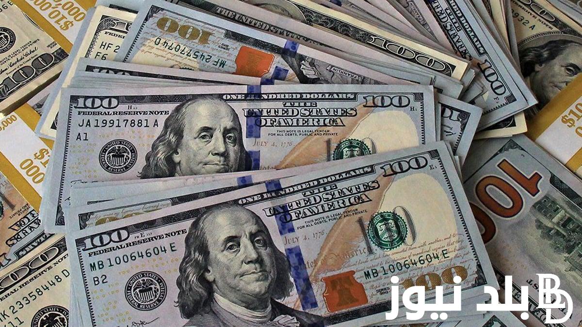 “الأخضر يُعلن إستقراره” 500 دولار كم جنيه مصري في السوق السوداء؟ تعرف على سعر الدولار اليوم الثلاثاء 13 أغسطس 2024 مقابل الجنيه