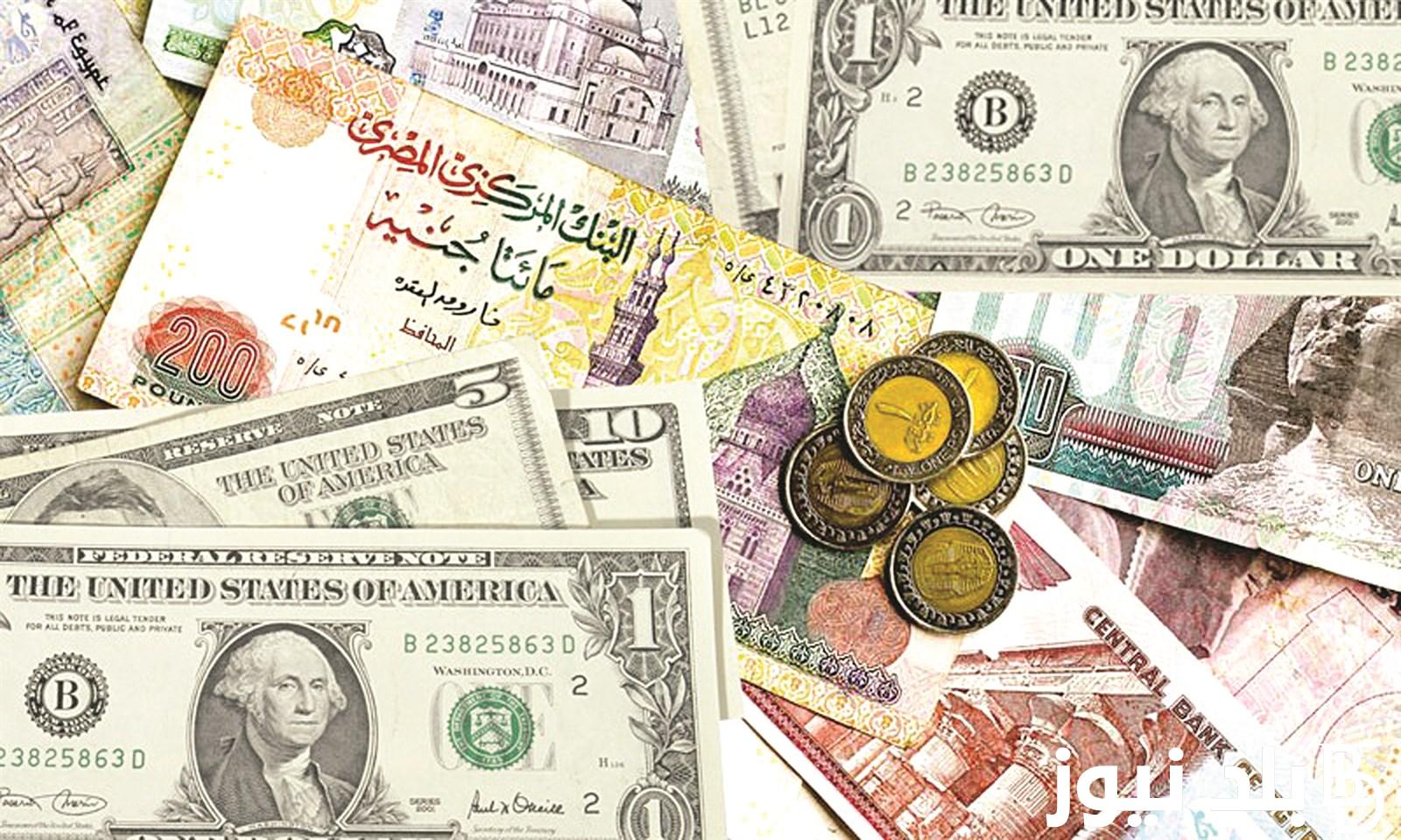 1دولار كم يساوي جنيه مصري| سعر الشراء والبيع للدولار مقابل الجنيه المصري اليوم الأثنين 12-8-2024 في السوق الموازية والبنوك