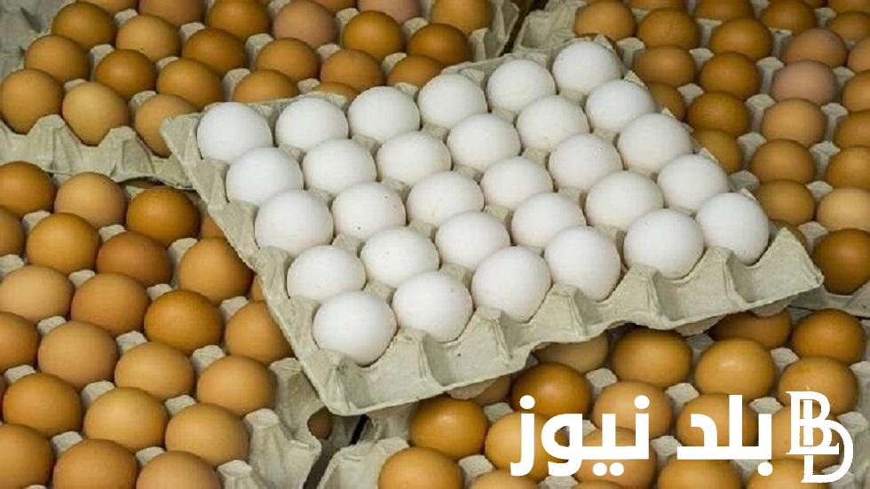 البيضة النهاردة بكام؟.. سعر كرتونة البيض اليوم للمستهلك الخميس 1/8/2024 والسعر في البورصة