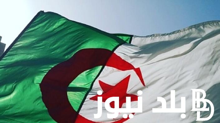 “سجلى من هنا” رابط التسجيل في منحة المرأة الماكثة في البيت 2024 والمستندات المطلوبة للحصول على منحة المرأة الماكثة
