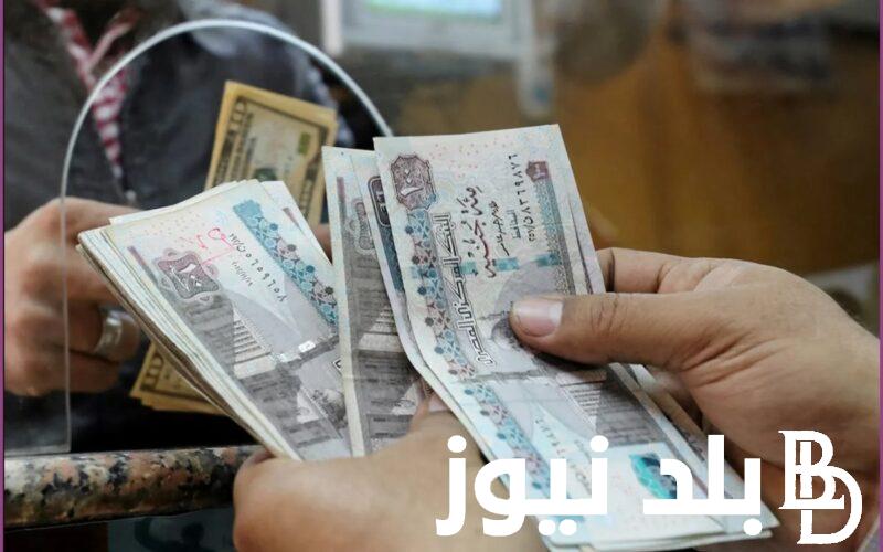 متى يتم صرف العلاوات الخمس لأصحاب المعاشات 2024؟.. الهيئة القومية للتأمينات توضح
