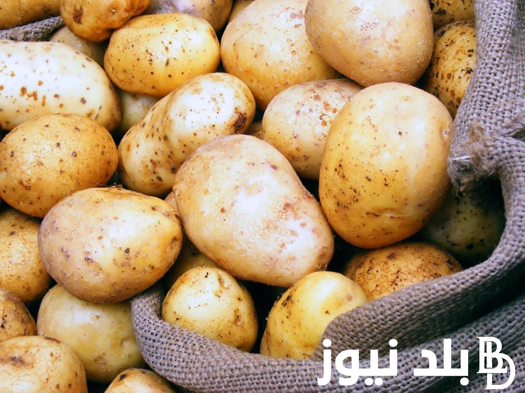 “خزين يا بطاطس” سعر البطاطس اليوم الأربعاء 14 أغسطس 2024 بالأسواق التجارية في مصر للمستهلك