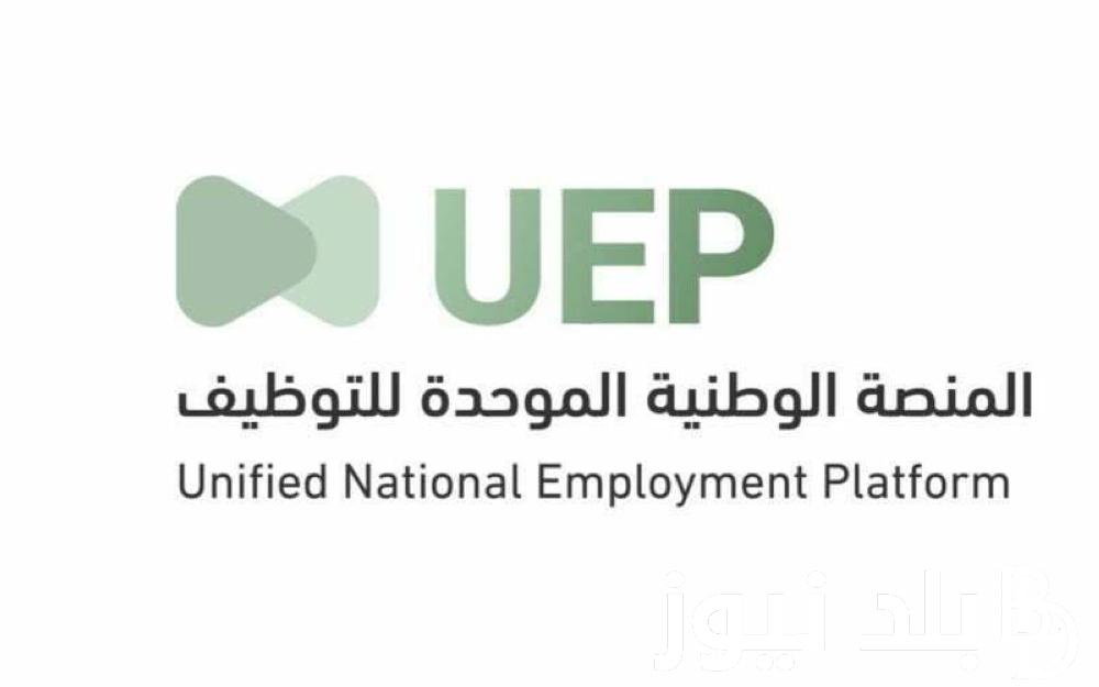 كيفية التسجيل في المنصة الوطنية الموحدة للتوظيف جدارات والشروط المطلوبة للدخول على المنصة