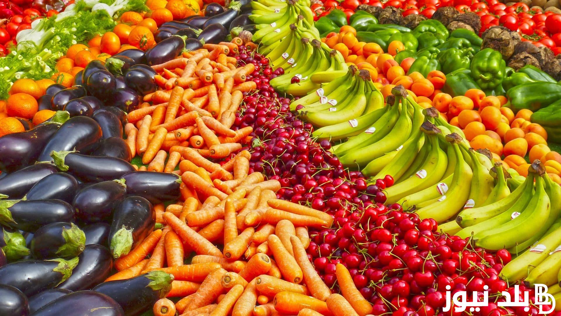 “اشتري خُضارك” اسعار الخضار اليوم الأحد 11 أغسطس 2024 بجميع المحلات التجارية والأسواق في مصر