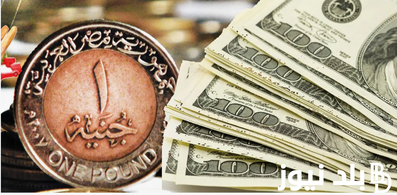 ارتفاع سعر الدولار اليوم مقابل الجنيه المصرى الاحد 11 اغسطس 2024 في البنوك المصرية والسوق السوداء