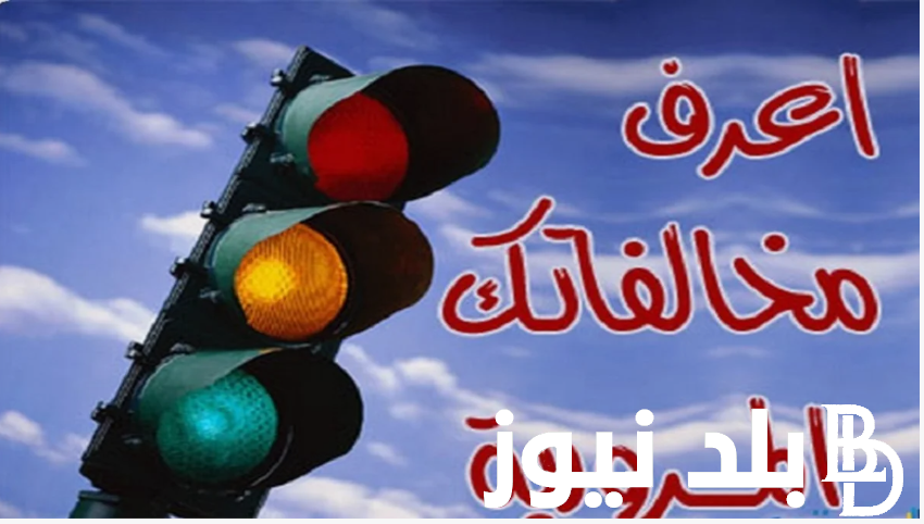 مجـانـاً.. الاستعلام عن مخالفات السيارات 2024 عبر موقع النيابة العامه للمرور ppo.gov.eg برقم اللوحة