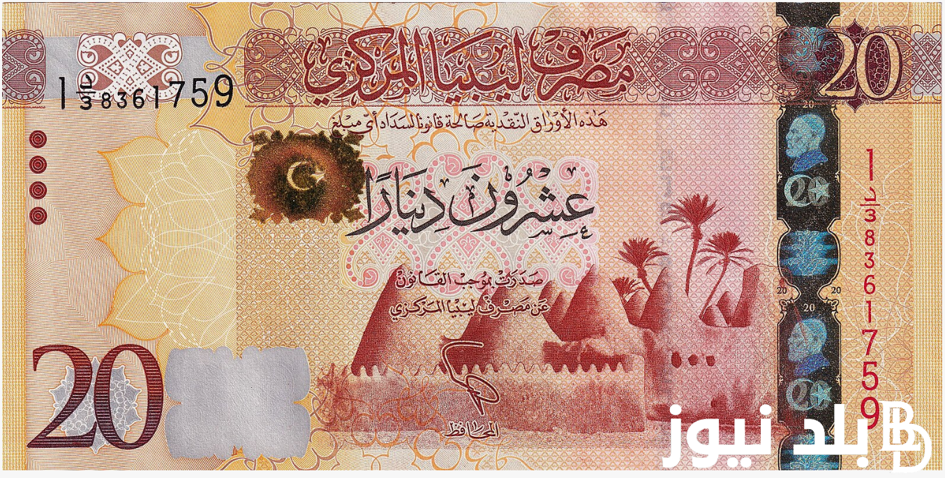 100 دينار ليبي كم جنيه مصري اليوم الخميس 15 اغسطس 2024 في البنك المركزي والسوق السوداء
