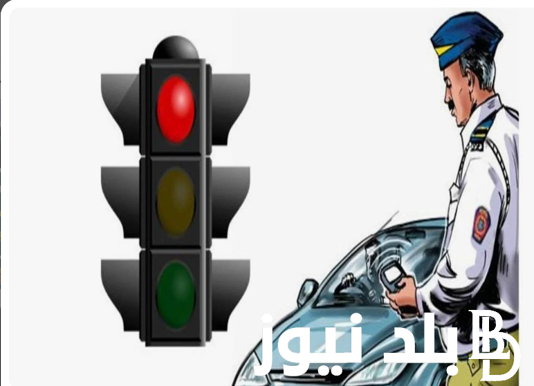 الاستعلام عن مخالفات السيارات 2024 عبر موقع النيابة العامة للمرور ppo.gov.eg مجاناً