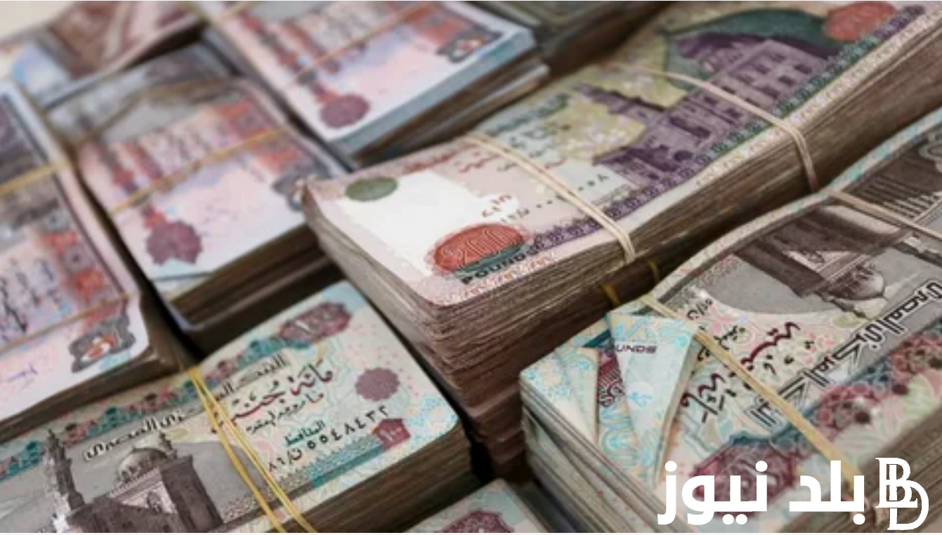 “استثمر الآن” كم فوائد 100 ألف جنيه في البنك في الشهر؟ احصل على افضل عائد من مبلغ 100 الف جنيه من شهادات البنك الاهلي المصري 2024