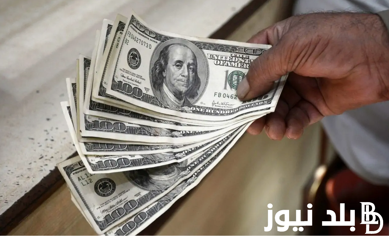 الاخضر بكام اليوم؟ سعر الدولار اليوم في السوق السوداء الخميس 22 أغسطس 2024 مقابل الجنيه المصري