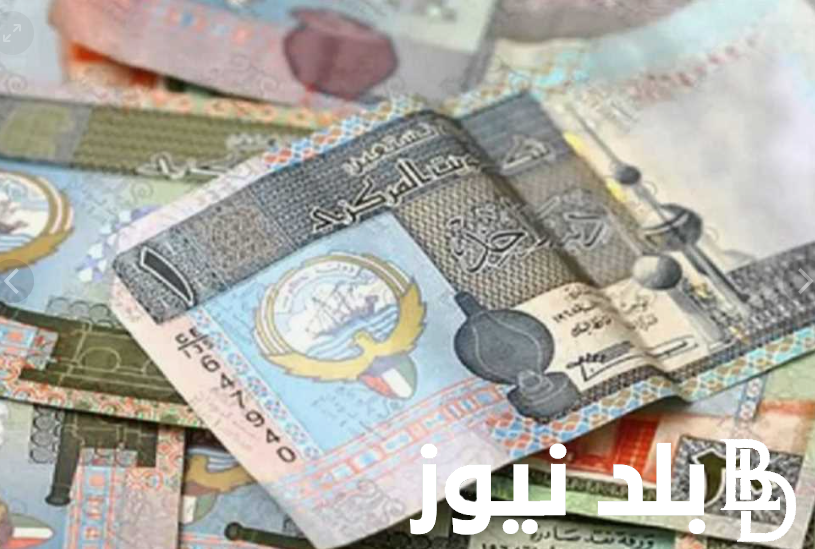 كم سعر الدينار الكويتي اليوم الخميس 23 أغسطس 2024 في البنوك المصرية والسوق السوداء