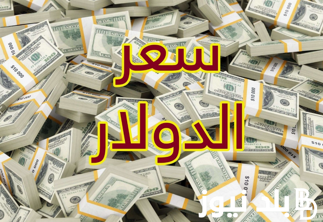 “السوق السوداء مشتعلة”.. سعر الدولار في السوق السوداء اليوم لحظة بلحظة السبت 3/8/2024 وسعره في البنوك المصرية