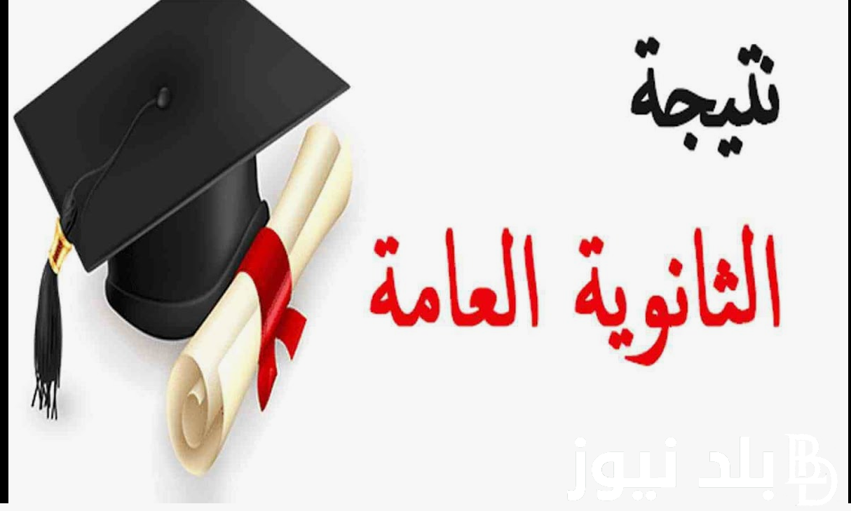 “الشهادة الثانوية”.. نتائج الطلاب بالرقم الجلوس 2024 عبر موقع وزارة التربية والتعليم moe.gov.eg جميع الشُعب