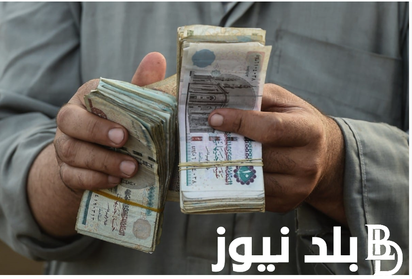 “عاجل زيـادة المـعـاشـات 15%” خبر سعيد لأصحاب المعاشات 2024.. التأمينات الاجتماعية تُعلن التحديثات الاخيره بشأن رواتب المتقاعدين