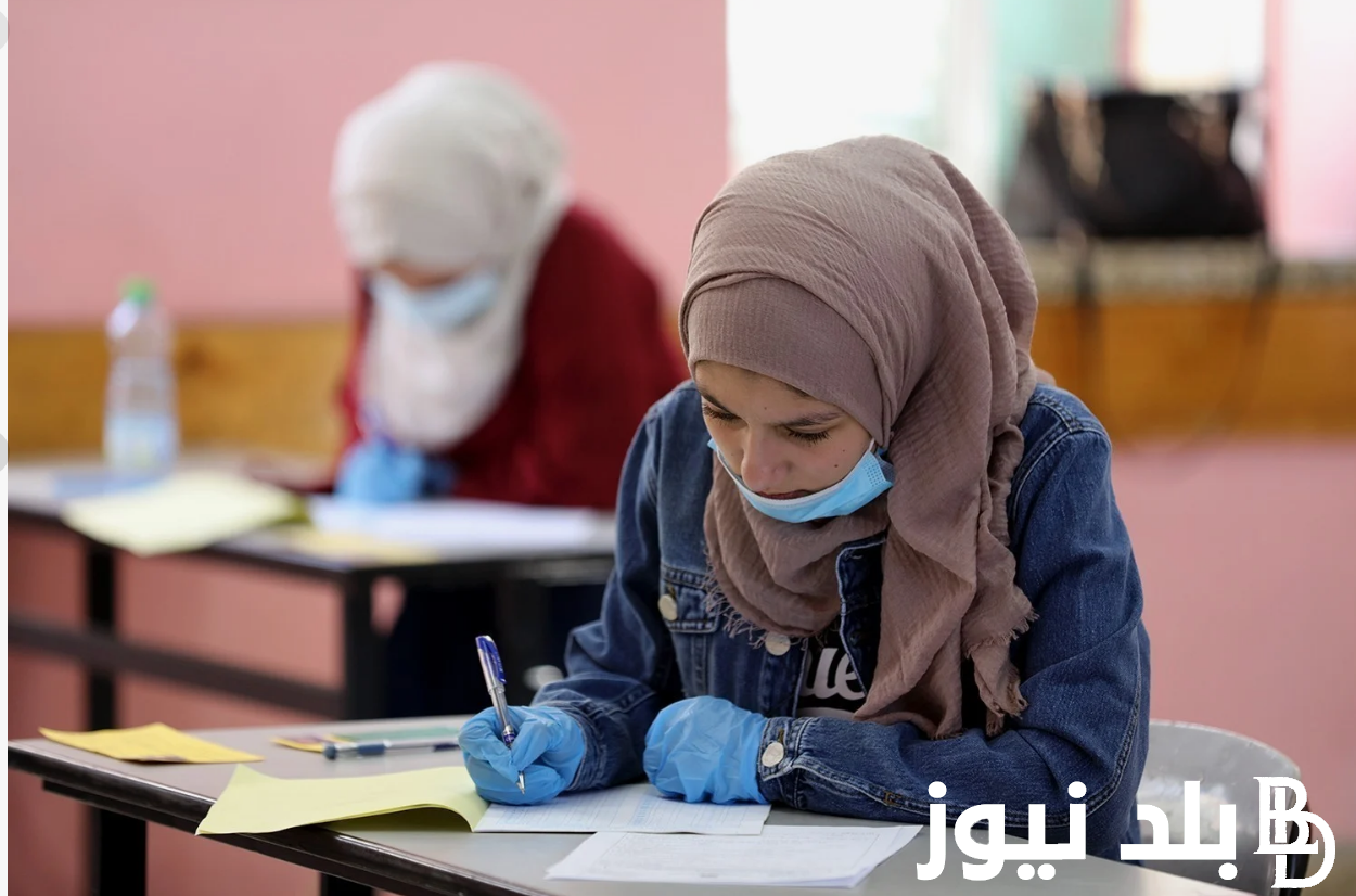 “رسمياً” معدلات القبول 2024 في الجزائر لطلاب البكالوريا في كافة التخصصات
