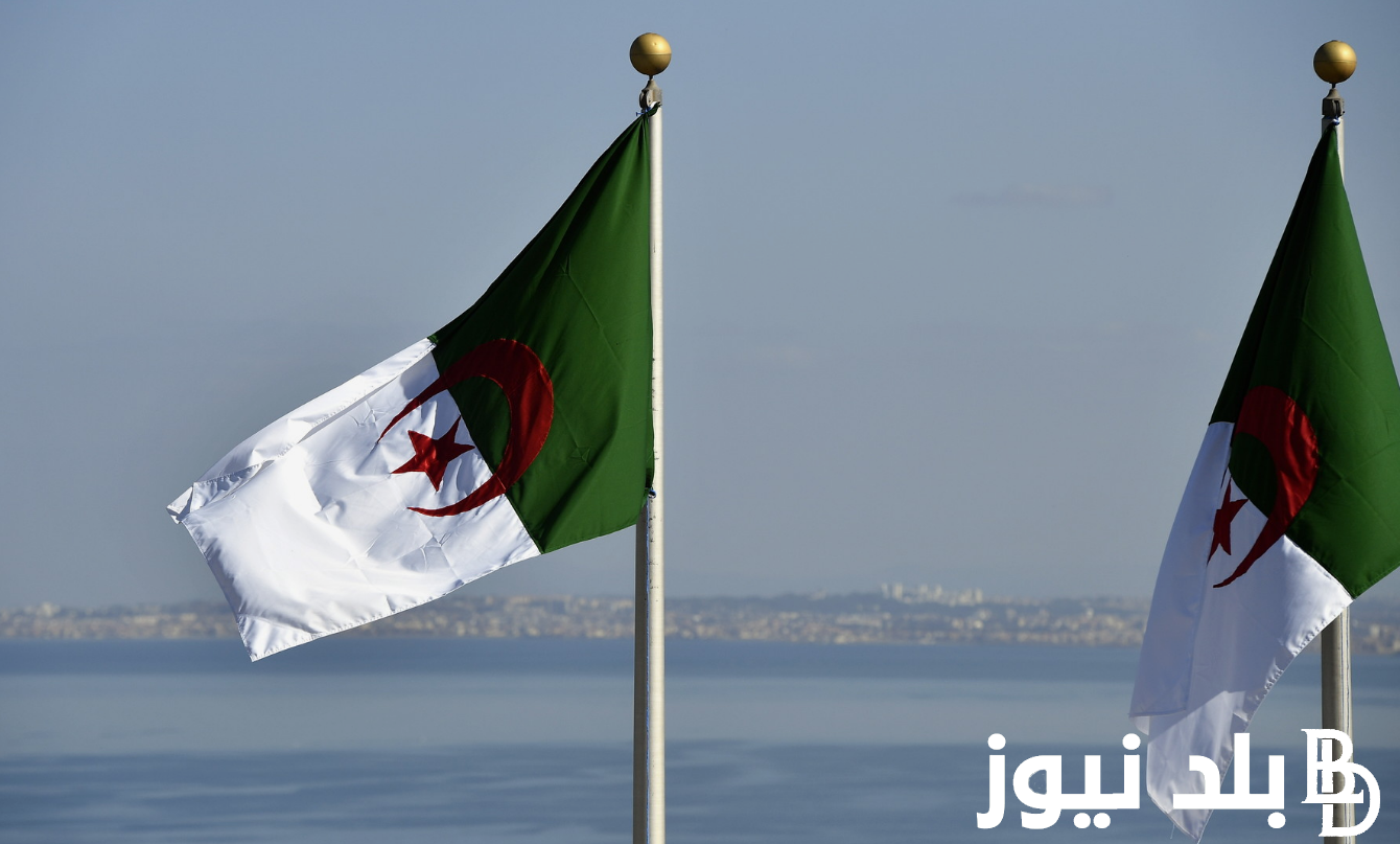 يوجد زيادة ام لا؟ زيادة الأجور 2024 الجزائر للمتقاعدين وفقا لقرار الحكومة الجزائرية.. التفاصيل كامله