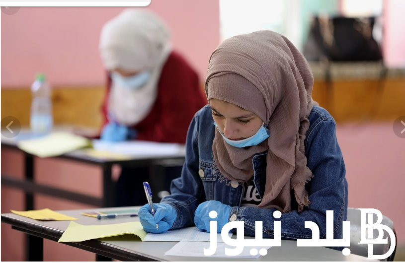 إعرف الآن.. معدلات القبول 2024 في الجزائر لغات المُعلنه من وزارة التربية الوطنيه